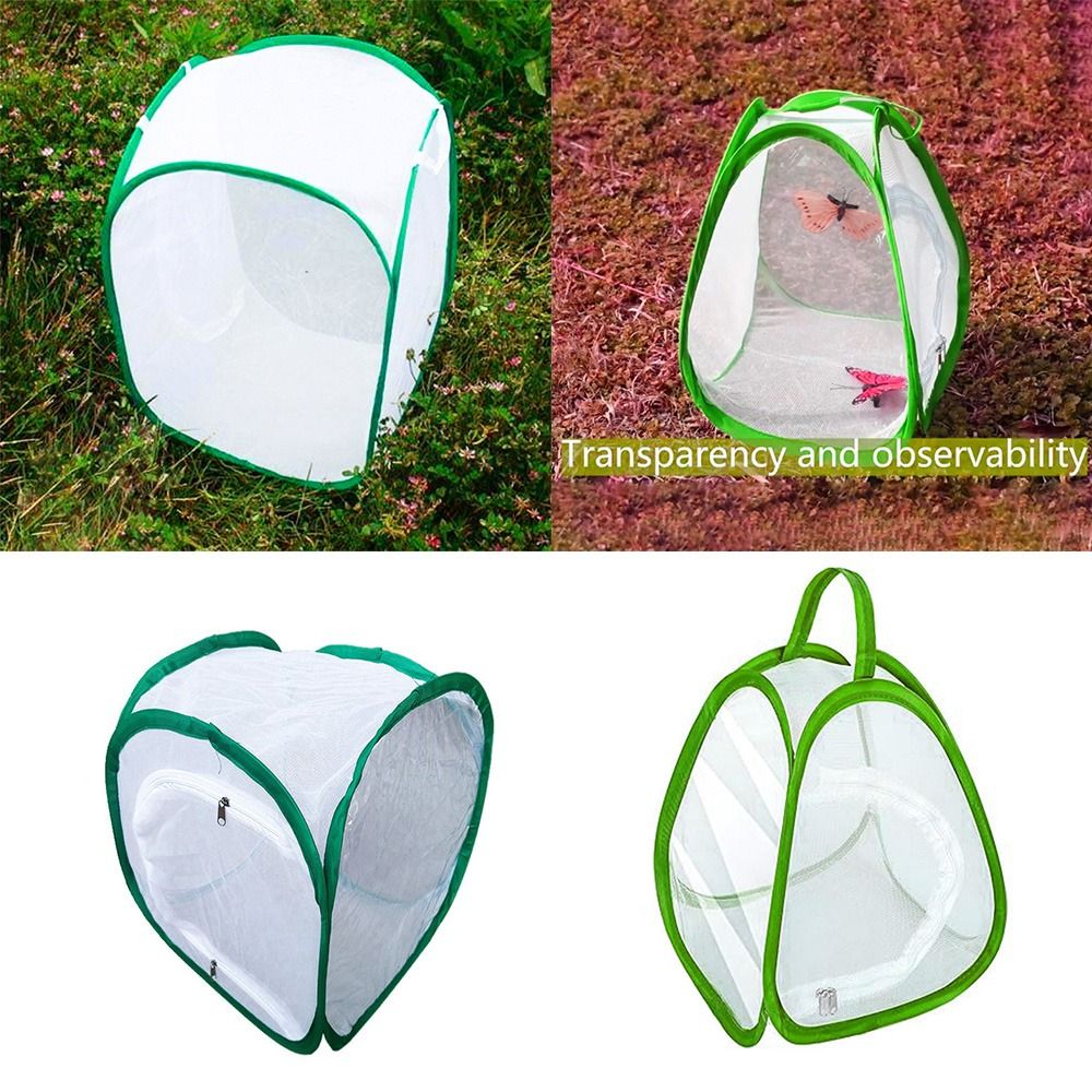 Green Screen Collapsible - Jaula para insectos plegable verde con