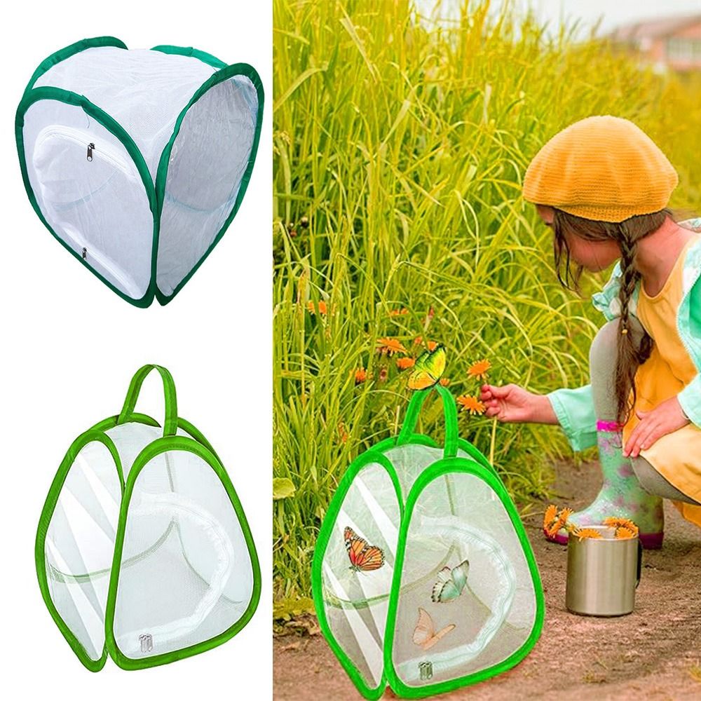 Jaula para insectos plegable v - Green Screen Collapsible reseña y precio