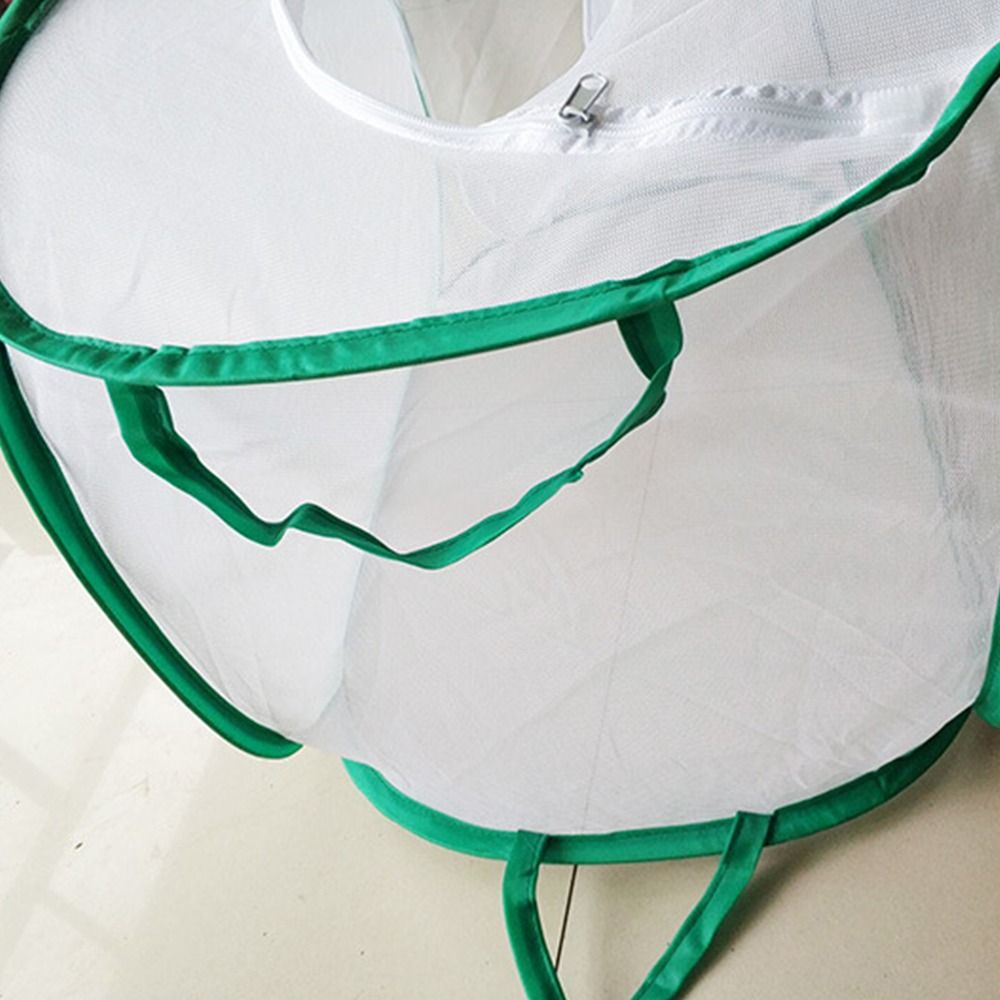 Jaula para insectos plegable v - Green Screen Collapsible reseña y precio