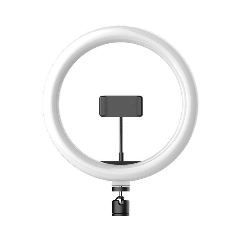 Anillo de luces LED de 16cm, 2 - Webcam Ring Light reseña y precio
